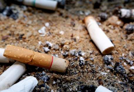 Не просто мусор: чем опасны сигаретные окурки