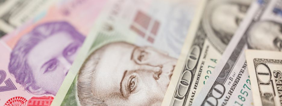 Госфинансирование партий. Сколько каждый украинец заплатит партиям-победителям?