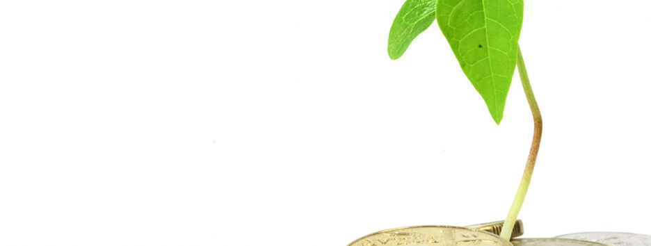 Экологичный бизнес: как заработать, спасая планету