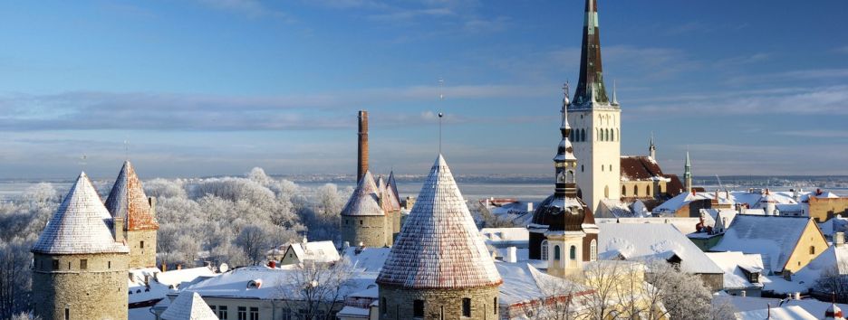 Эстония будет выдавать специальные визы для стартаперов