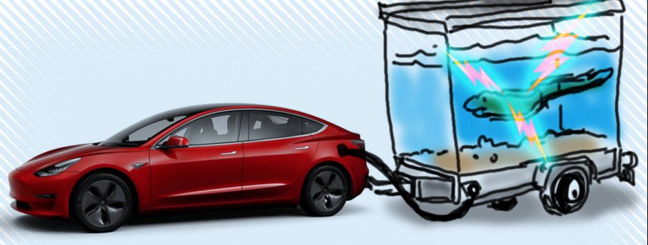 Эксперимент: можно ли зарядить электрокар электрическими угрями