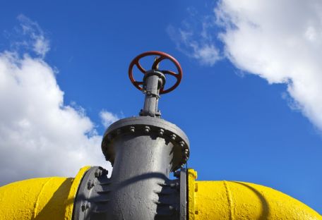 Какие компании поставляли газ в Украину в 2016 году