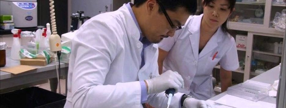 Японские генетики вырастили поджелудочную железу мыши в теле крысы