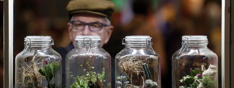 Как проходит праздник фермеров в Берлине