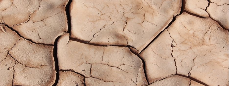 Волны смертоносной жары: ученые нашли причину природных катаклизмов