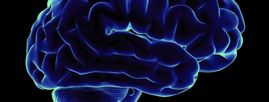 Космические полеты меняют форму человеческого мозга: исследование