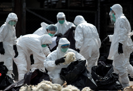 Вспышка мутировавшего вируса в Китае: что известно об инфекции и как она передается