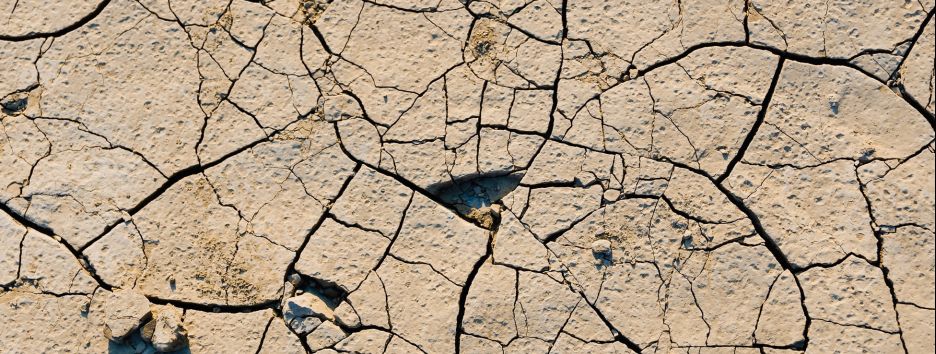 С точностью до километра: опубликован самый детальный датасет климатических изменений - фото