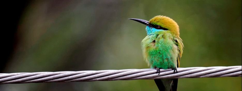 Загадки эволюции: ученые раскрыли секрет появления жизни на Земле