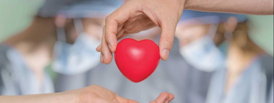 «Заплатка» на сердце: врачи впервые пересадили человеку выращенные в лаборатории сердечные мышцы