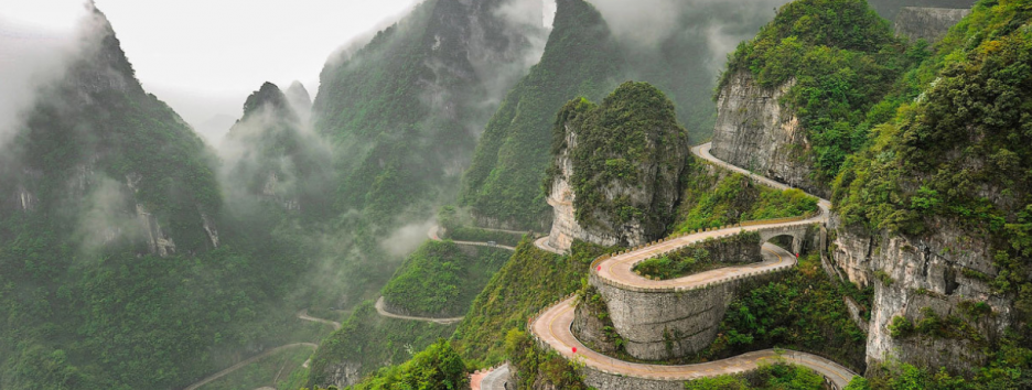 Создадут больше проблем, чем могут решить: почему выращивание деревьев может быть опасным