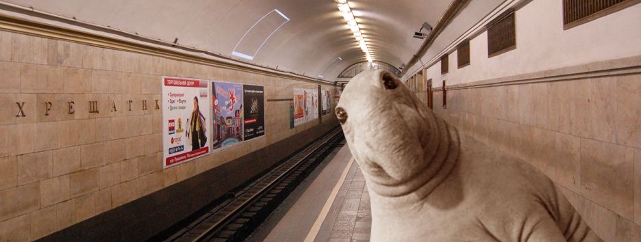 Если бы Ждун жил в Киеве