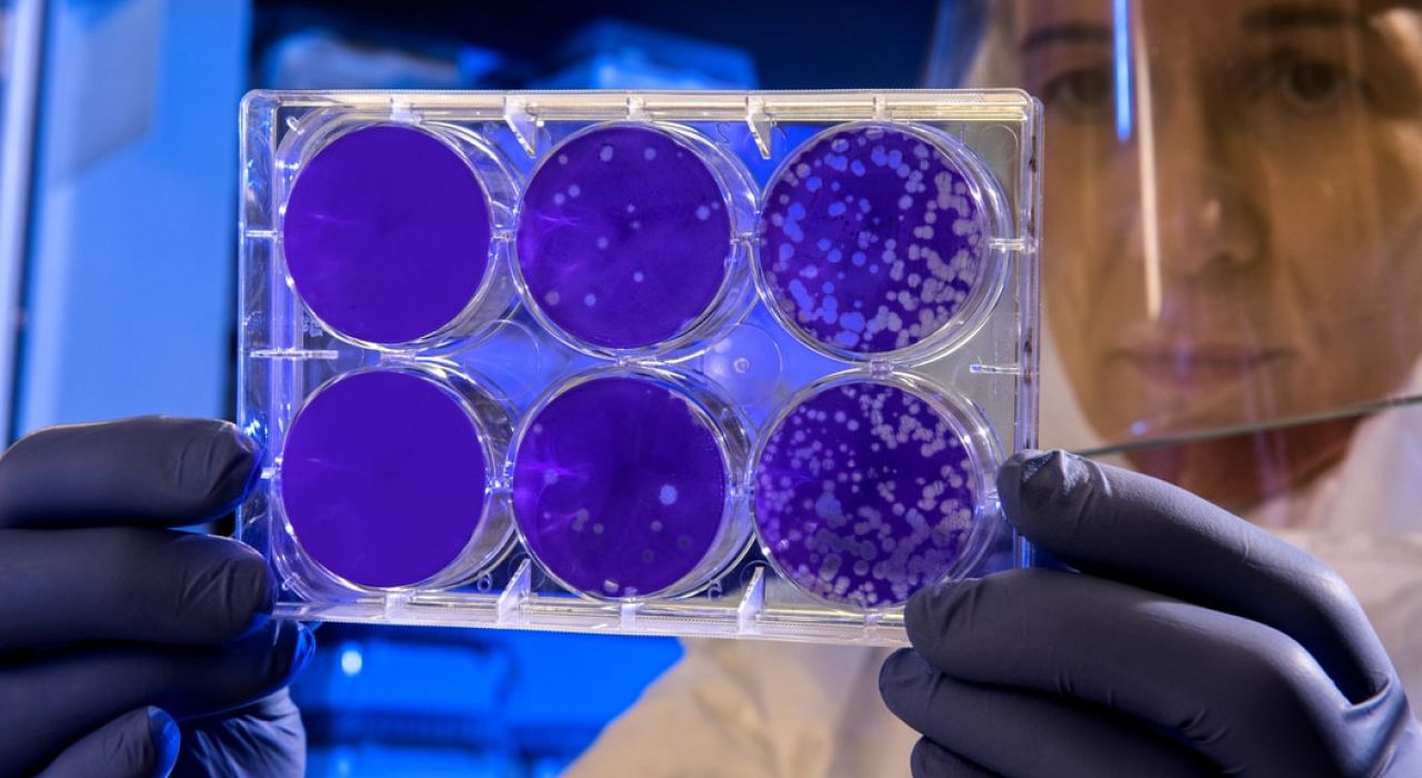 Смертельная угроза: специалисты предрекают пандемию нового коронавируса