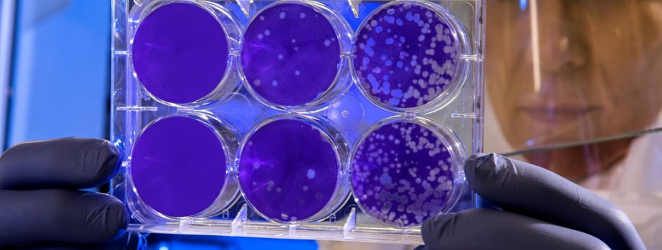 Смертельная угроза: специалисты предрекают пандемию нового коронавируса