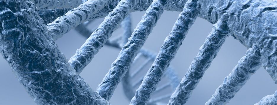 Революция в лечении рака: ученые сделали важное открытие