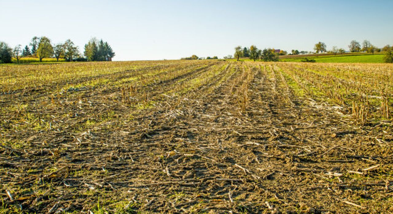 Рейдерские захваты агрохолдингов: готова ли Украина защитить инвесторов