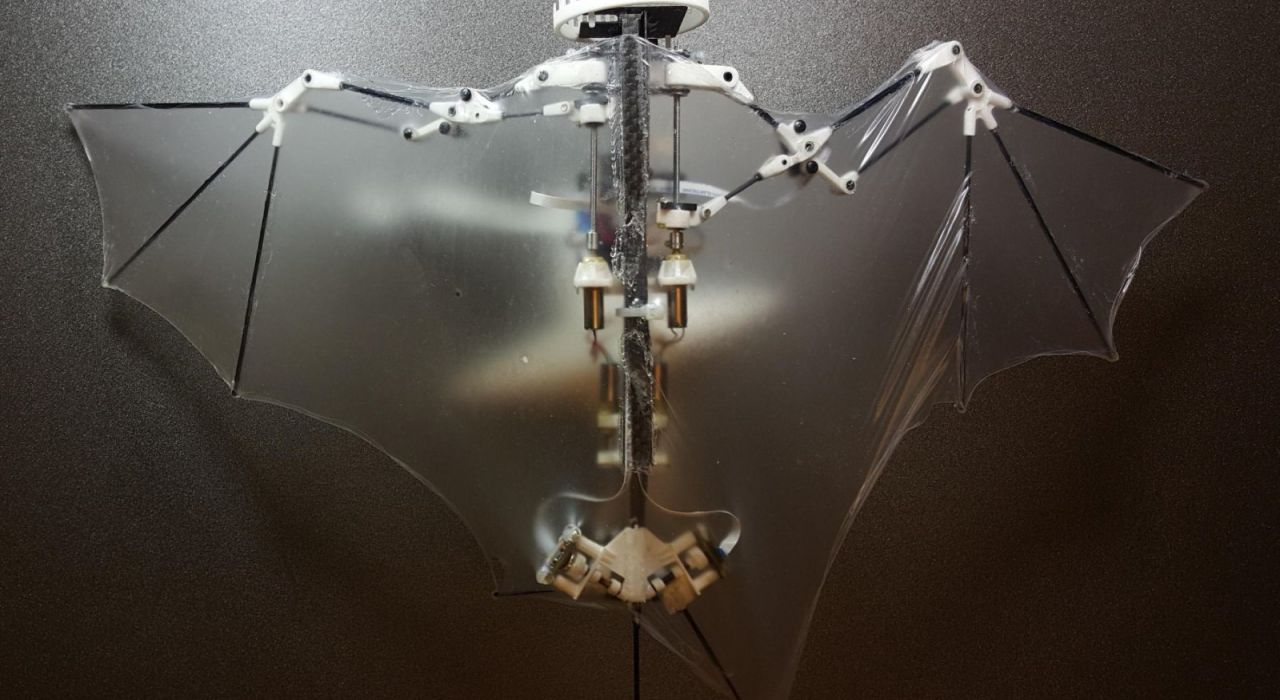Инженеры из США разработали робота-летучую мышь