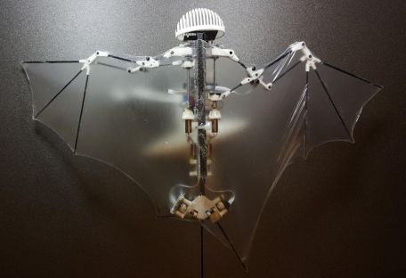 Инженеры из США разработали робота-летучую мышь