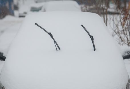 Как снегопад преобразил Киев