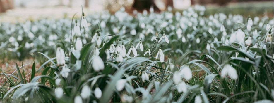 О любви и не только: подборка фильмов для первого дня весны - видео