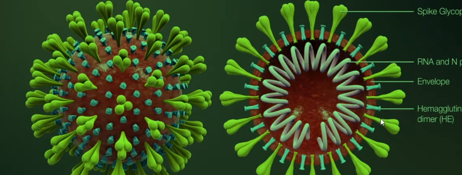Пандемия коронавируса: что известно на 13 марта - карта