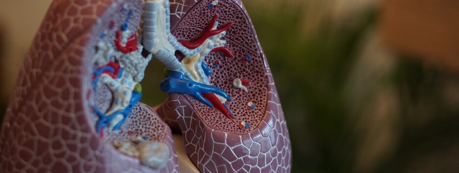 Смертельный коронавирус: врачи рассказали о последствиях инфекции для легких