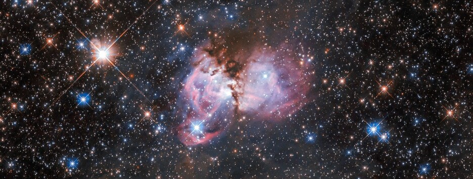 «Колыбель» массивных звезд: Hubble сделал снимок туманности Тарантул - фото