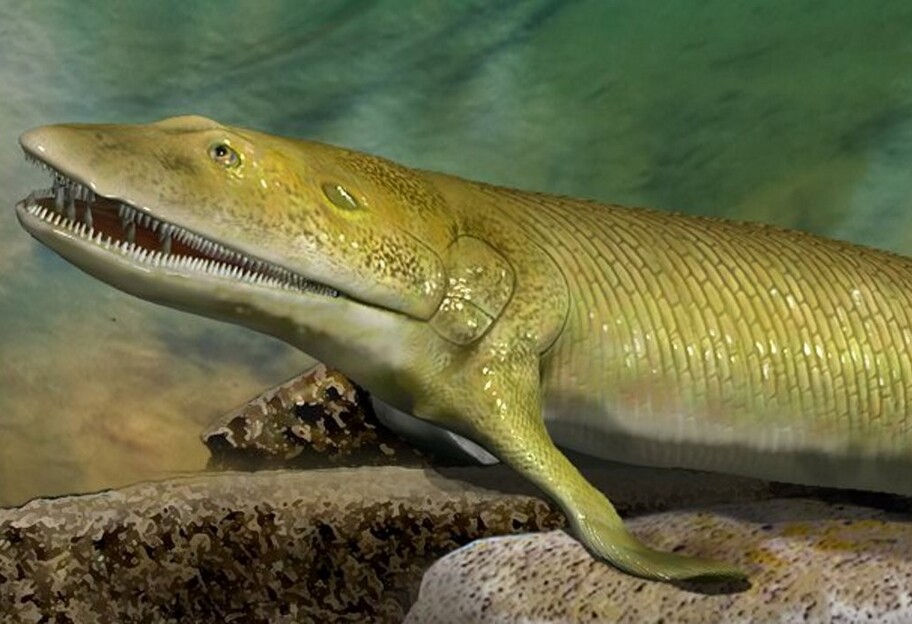Палеонтологи обнаружили древнейшую рыбу с пальцами - фото 1