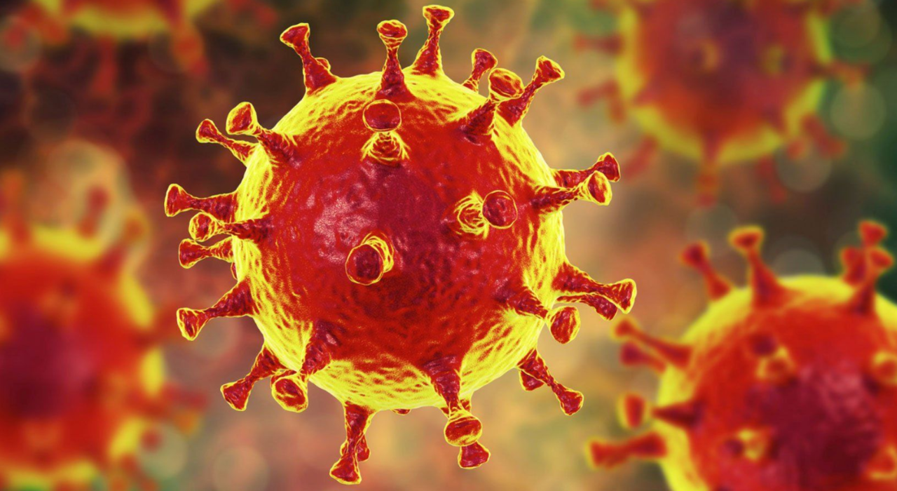 Живучая химера: ученые назвали новый коронавирус гибридом двух инфекций