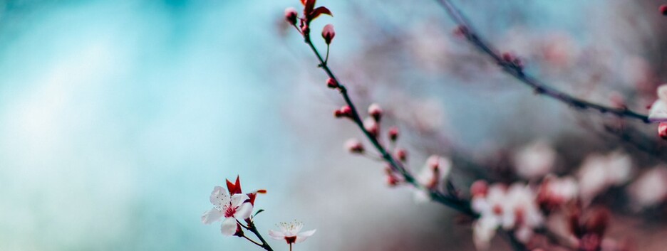 Арктический воздух отступает: синоптики порадовали украинцев оптимистичным прогнозом - карта