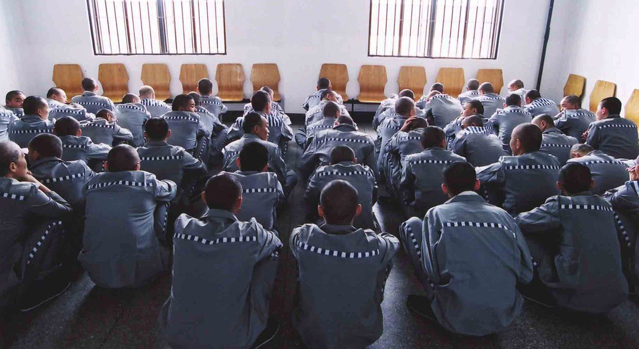 Китай использует органы казненных заключенных