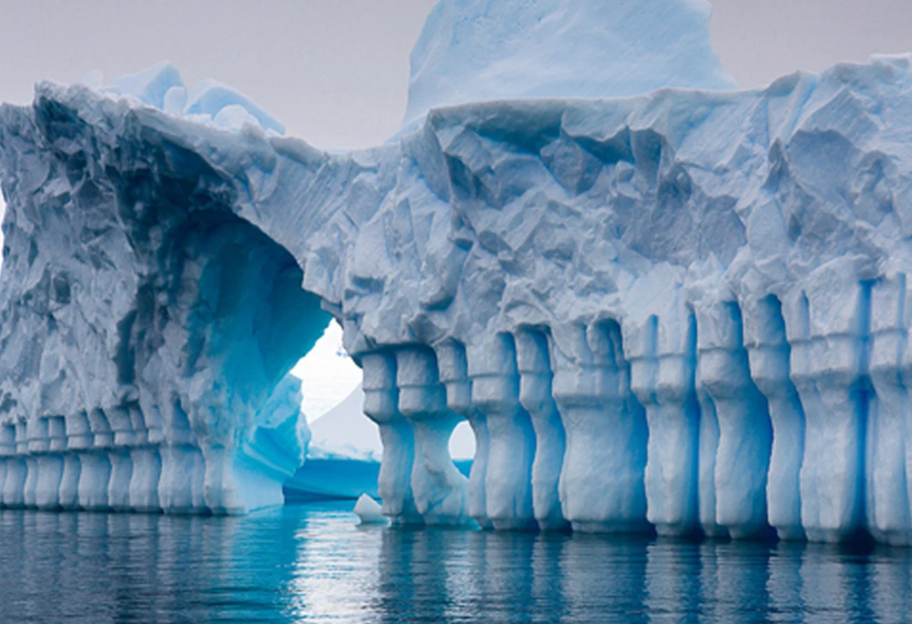 Жаркое прошлое: исследователи рассказали о тропических лесах Антарктиды - фото 1