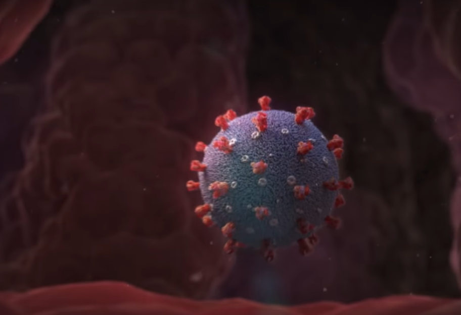 Вирусная атака: ученые создали 3D-визуализацию заражения клетки новым коронавирусом - видео - фото 1