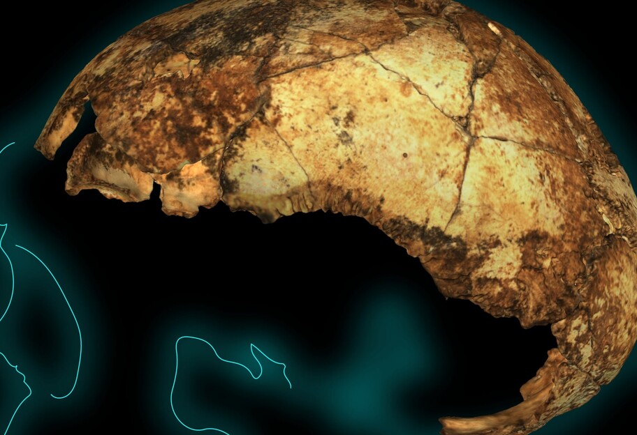 В Австралии обнаружили древнейший череп предка человека - фото 1