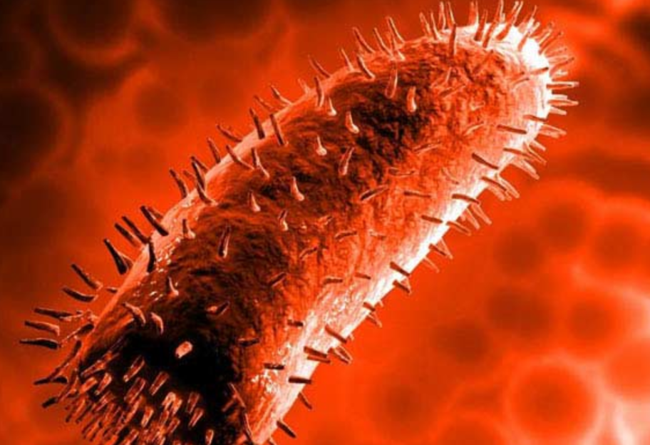 Превращают хозяина в «зомби»: ученые обнаружили необычные гигантские вирусы  - фото 1