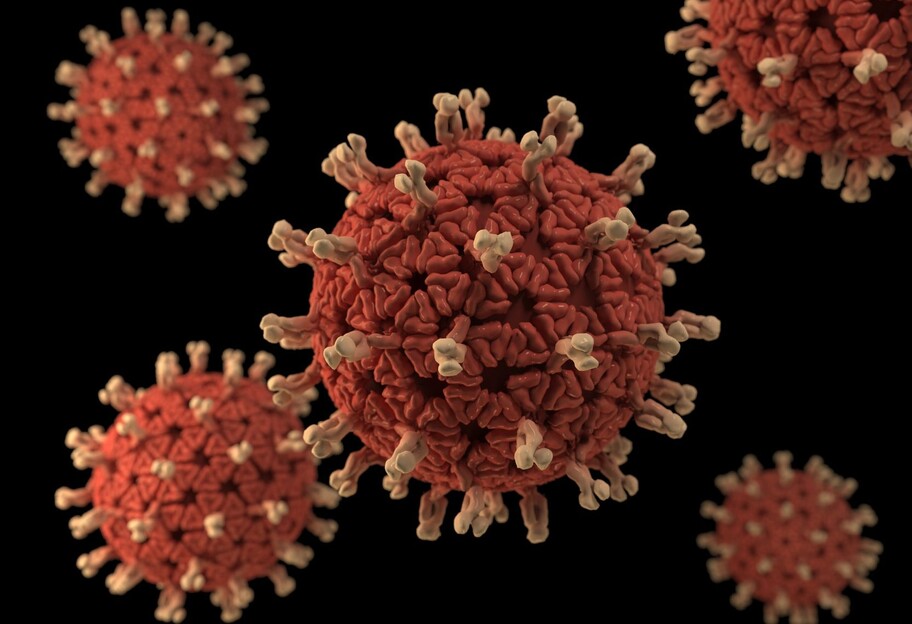Ученые раскрыли тайну вируса, который приводит к около 200 тысячам смертей ежегодно - фото 1