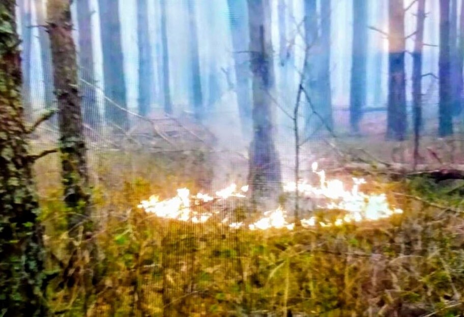 В погоне за негодниками - Нацгвардия начала спецоперацию из-за лесных пожаров - фото 1