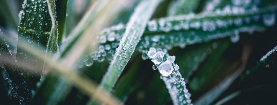 Украину посетит циклон Walli: какую погоду ожидать на выходных - карты