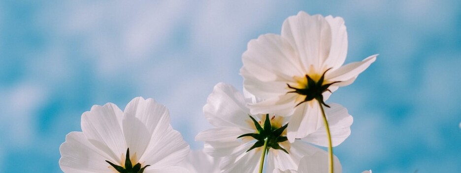 Одна из самых теплых стран в Европе: украинцев порадовали прогнозом погоды - карты