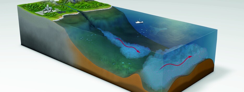 Исторический «мусорный улов»: ученые нашли крупнейшее скопление микропластика – фото