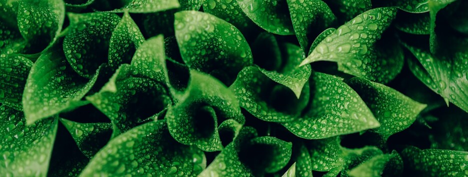 «Атмосфера молодец»: украинцев порадовали прогнозом на выходные - карта