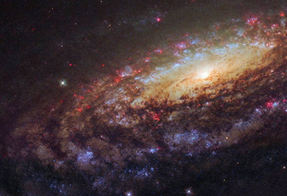 Внеземная жизнь: ученые выяснили, в каких галактиках могут зародиться разумные цивилизации - фото 1