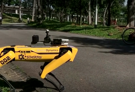 Технологии против коронавируса: в Сингапуре робот-пес разгоняет толпы в парке - фото, видео