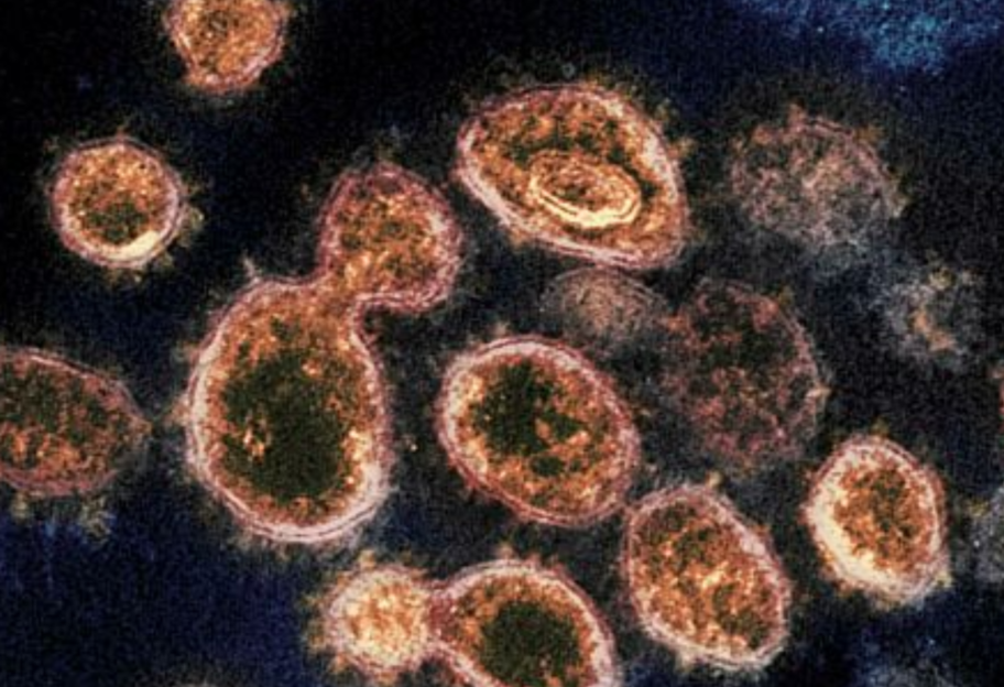 «Лето не поможет»: канадские ученые развеяли популярный миф о коронавирусе - фото 1