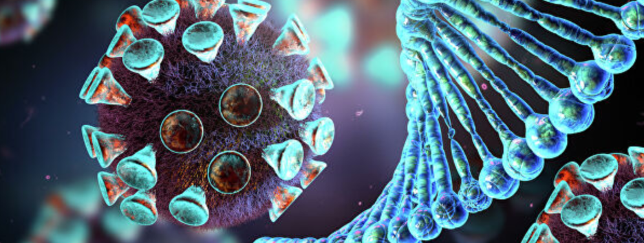 Лекарство от COVID-19: немецкие ученые назвали препараты, которые тормозят размножение коронавируса