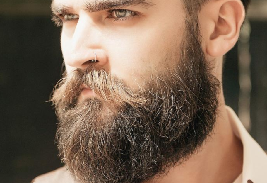Ценный подарок эволюции: ученые выяснили, зачем мужчинам борода - фото 1