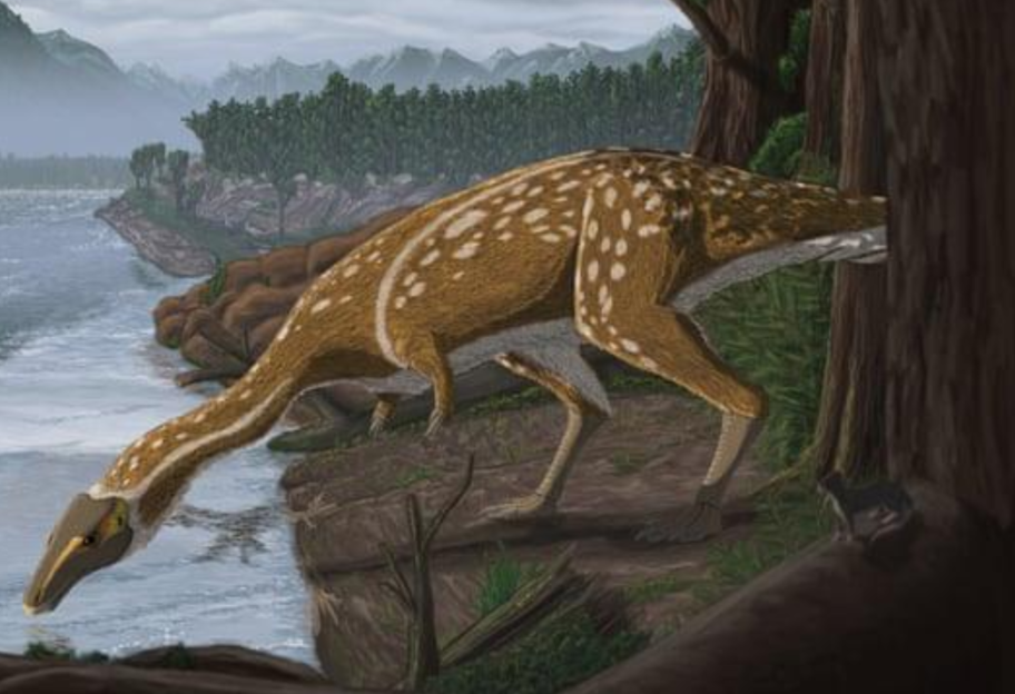 Уникальная находка: в Австралии нашли кости редчайшего динозавра - фото - фото 1