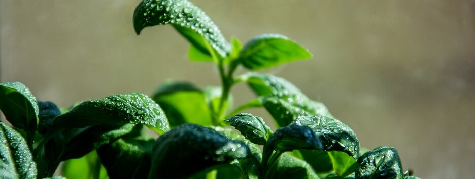 «Не отчаивайтесь»: украинцам рассказали, когда ждать потепления - карта