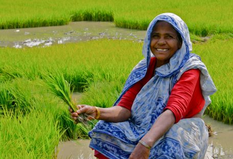 Индийский мессенджер для фермеров помогает приумножить урожай