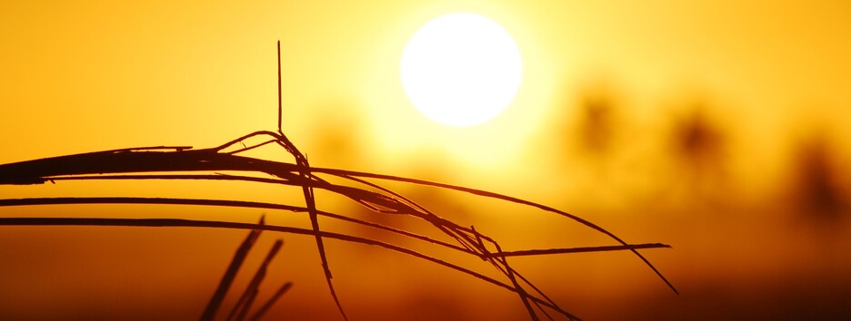 Таинственное массовое вымирание: в давней истории Земли нашли угрозу для современной цивилизации - фото